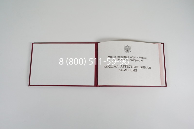Диплом доктора наук 1995-2006 года в Тольятти