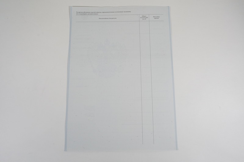 Диплом о начальном образовании 2007-2009 годов в Тольятти Диплом о начальном образовании 2007-2009 годов в Тольятти